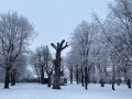 Winterbild - Insektenbaum