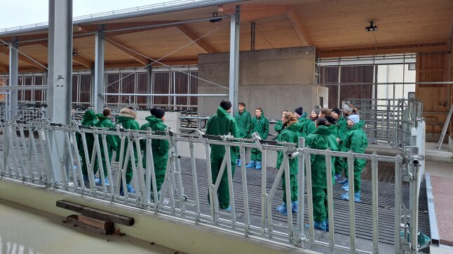 Angehende Tierärzte stehen im Stall
