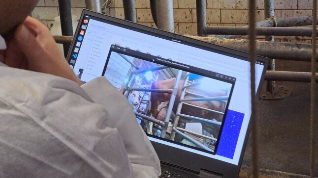 Ein Mann sieht auf einen Bildschirm