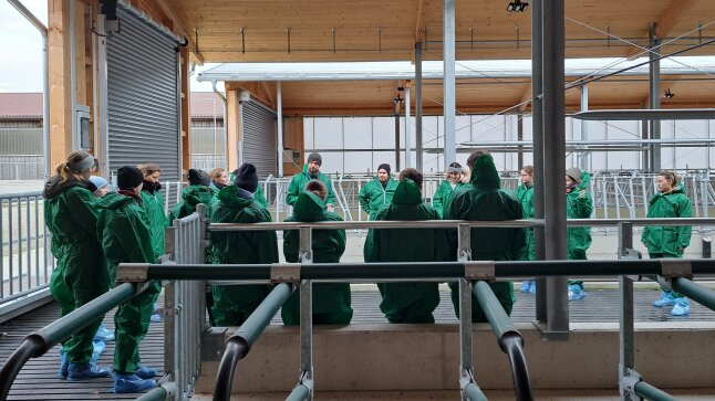 Junge Tierärzte stehen im Stall