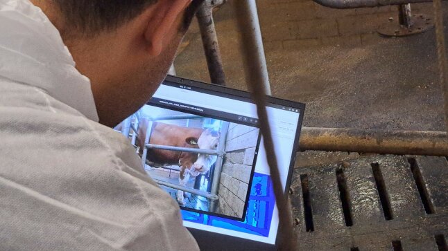 Ein Mann sieht auf ein Notebook