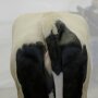BCS Stufe 4 - Ansicht von Hinten