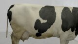 BCS Stufe 4 - Seitenansicht