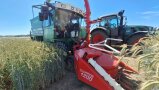 GPS-Häckselmaschine in einem Weizenfeld