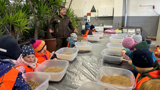 Kindergartenkinder sitzen vor unterschiedlichen Körnerboxen