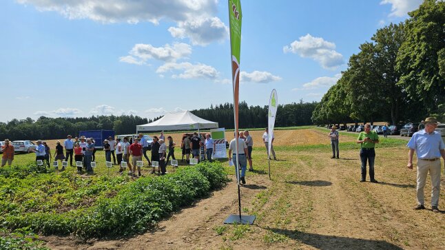 mehrere Personen auf Demonstrationsfeld