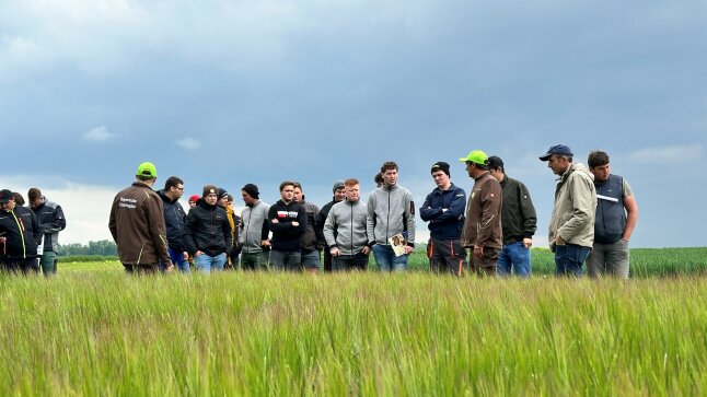 Besuchergruppe steht hinter einem Gerstenfeld