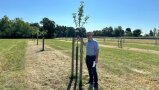 Herr Dippold steht an einem Apfelbaum
