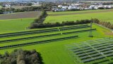 2024-11-05-Grub-Agri-PV_ Ernte und Stromernte kombiniert