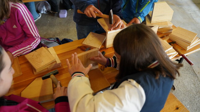 ein Mädchen bastelt mit Hammer ein Schwalbennest aus Holz