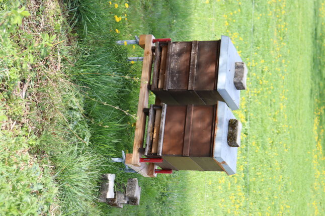 Bienenkästen Kringell