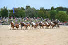 2024-09-19 Schwaiganger Gestütsschau 2024 Haflinger 12er Zug Claus Luber