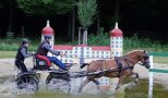 2025-04-09 Schwaiganger Never Say Never Kutscher Hengst Haflinger